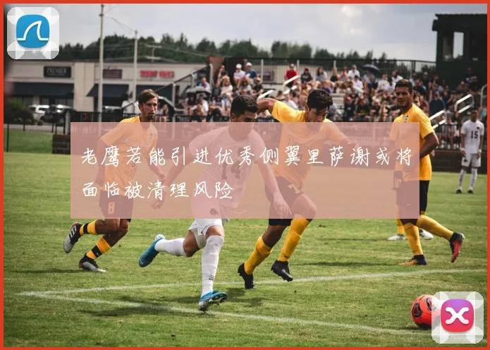 老鹰若能引进优秀侧翼里萨谢或将面临被清理风险
