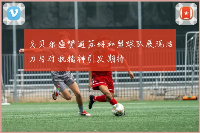 戈贝尔盛赞道苏姆加盟球队展现活力与对抗精神引发期待